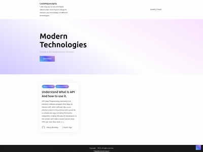 codeninjainsights.com snapshot