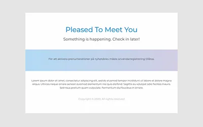 pleasedtomeetyou.online snapshot