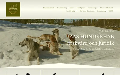 lizashundrehab.se snapshot