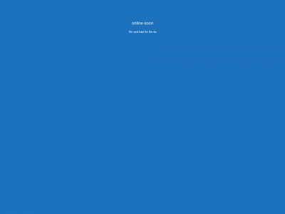 weserauktionen.de snapshot