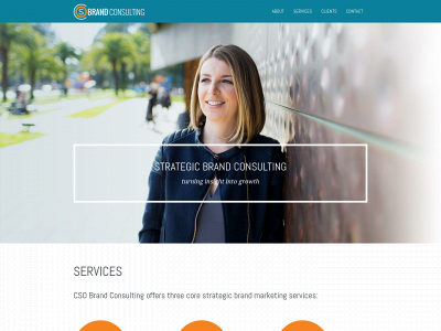 csobrandconsulting.com snapshot