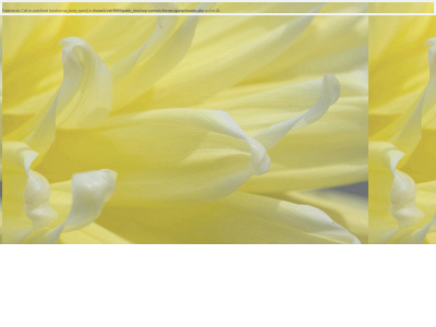 dasprintshop.com snapshot