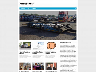 vezejuportalas.lt snapshot