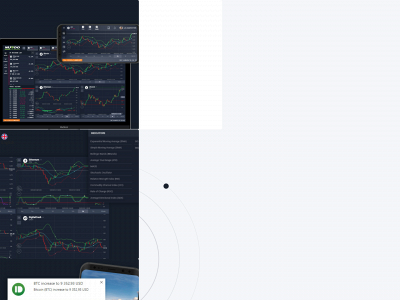 truefxtrader.com snapshot