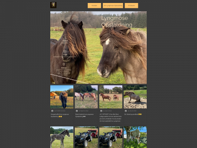 lyngmoseopstaldning.dk snapshot