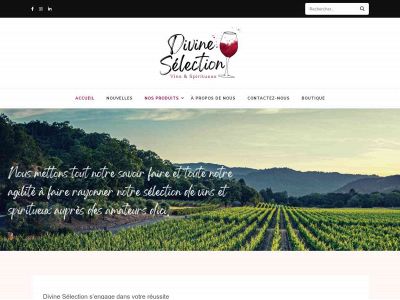 divineselection.ca snapshot