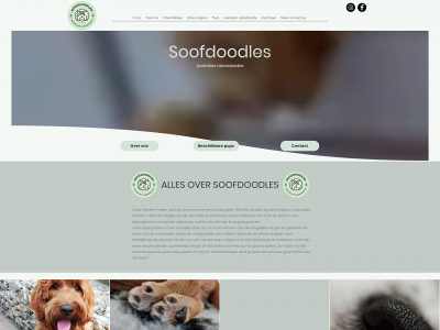 soofdoodles.nl snapshot