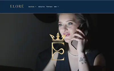conciergeoslo.com snapshot