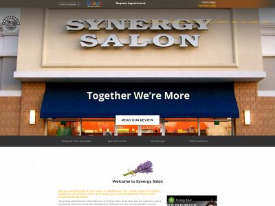 synergysalon.net snapshot