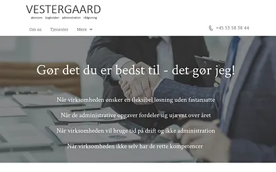 vestergaard.vip snapshot
