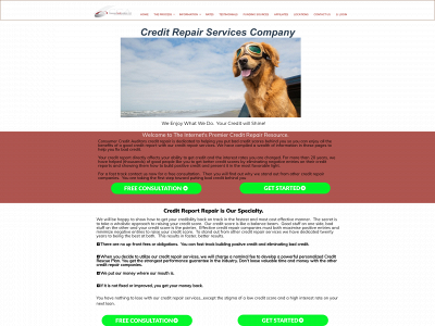 consumercreditauditors.com snapshot