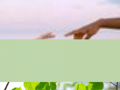martinelopescoaching-conseil.fr snapshot