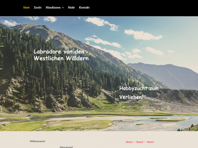 labradore.net snapshot