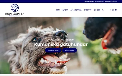 hundarlangtarhem.se snapshot
