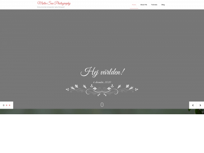 malinsax.com snapshot