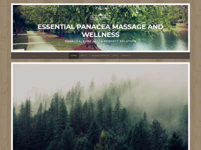 essentialpanaceawellness.com snapshot