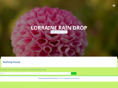 lorrainethejoyfulsenior.com snapshot