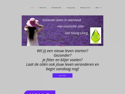 oilypower.nl snapshot