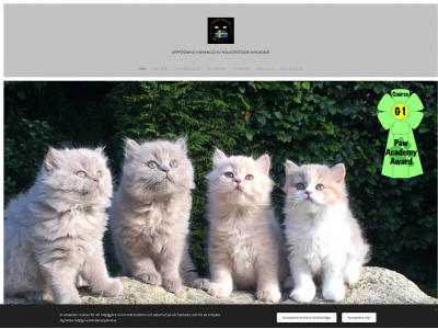 amberglance.se snapshot