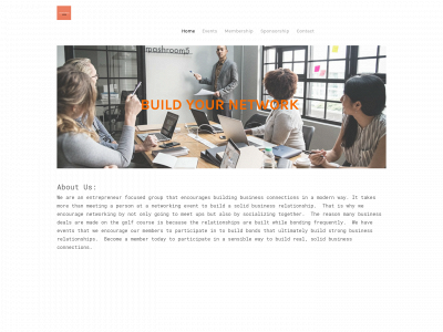connect2link.weebly.com snapshot