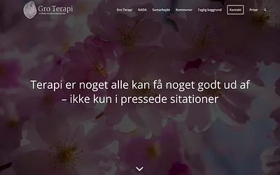 groterapi.dk snapshot