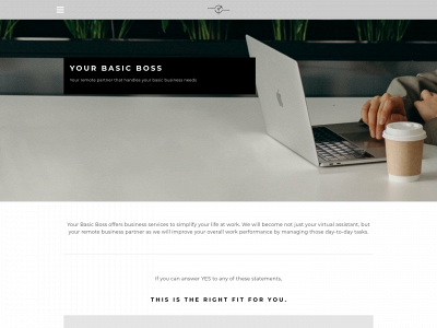 www.yourbasicboss.com snapshot