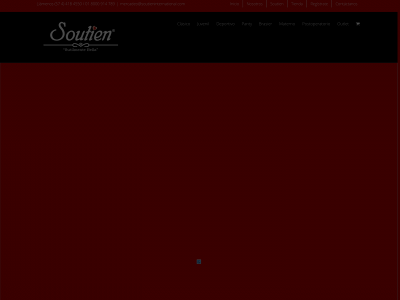 soutieninternational.com snapshot