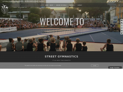 streetgymnast.com snapshot