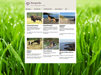 burgendas.dk snapshot