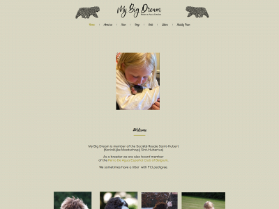 mybigdream.be snapshot