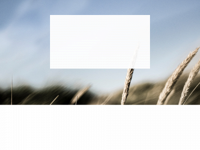 test-slotje.one snapshot