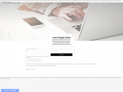 leadgenerationjobs.weebly.com snapshot
