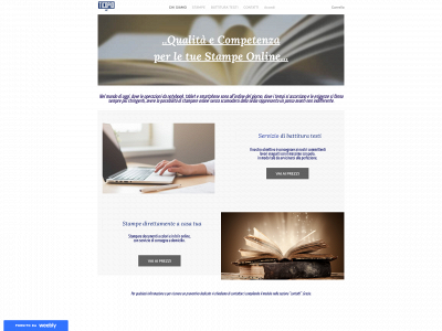 ticopio.weebly.com snapshot