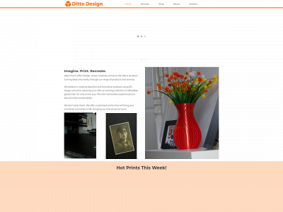 ditto-design.co.uk snapshot