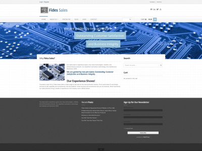 fidessales.com snapshot