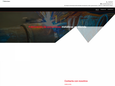 www.talleresayuva.com snapshot