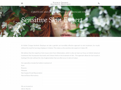 visiblechangeaesthetics.weebly.com snapshot