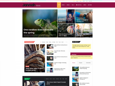 graphicoverlays.net snapshot