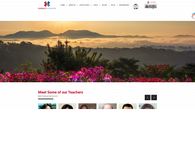 koreanhorizons.com snapshot