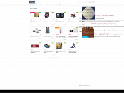 snaggerly.com snapshot