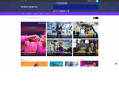 volacoberry.com snapshot