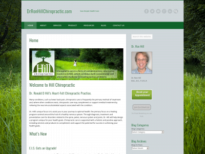 drronhillchiropractic.com snapshot