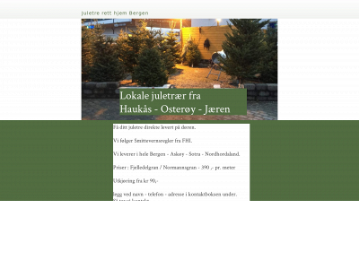 juletreretthjem.no snapshot