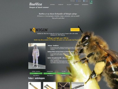beenice.dk snapshot