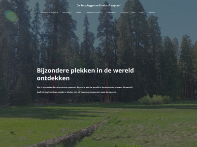 dereisblogger.online snapshot