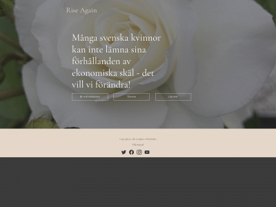 riseagain.se snapshot