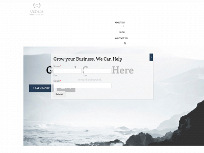 opheliamarketing.com snapshot