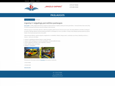 neigaliujupervezimas.lt snapshot