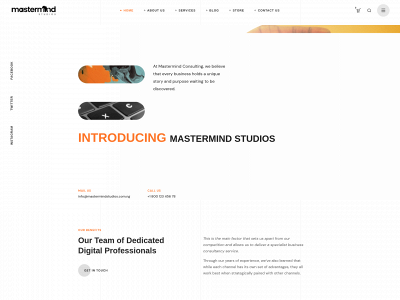mastermindstudios.com.ng snapshot
