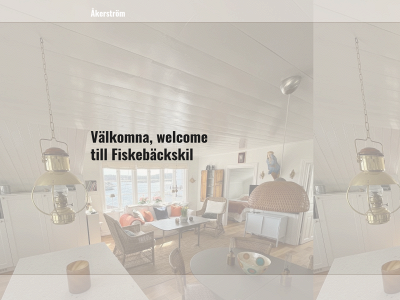 akerstrom-vu.se snapshot